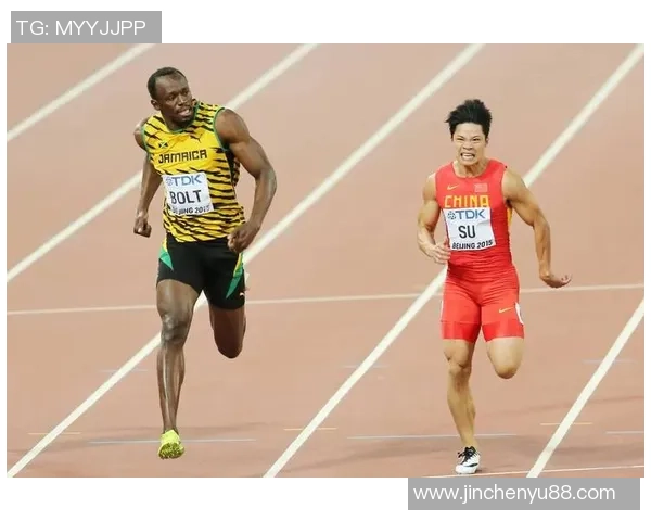 中国选手包揽体育界最受欢迎运动员票选前三位彰显实力与影响力